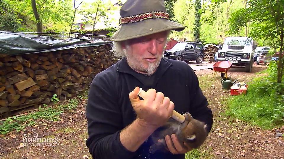 Hartmann Jenal kümmert sich um kleine Füchse