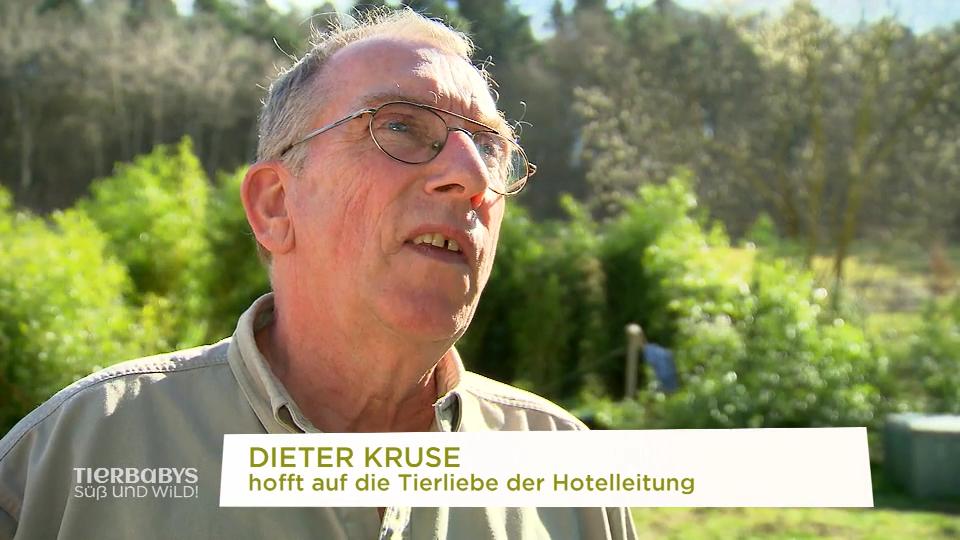 In welches Hotel kann man ein Känguru mitnehmen?