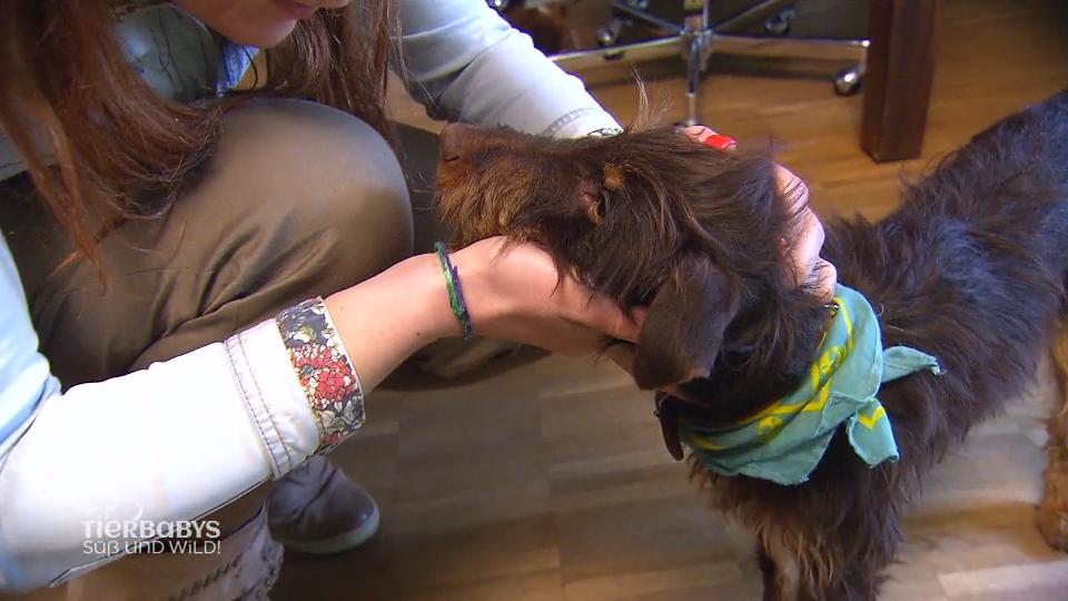 Darf Carlos bei seinem Frauchen bleiben?