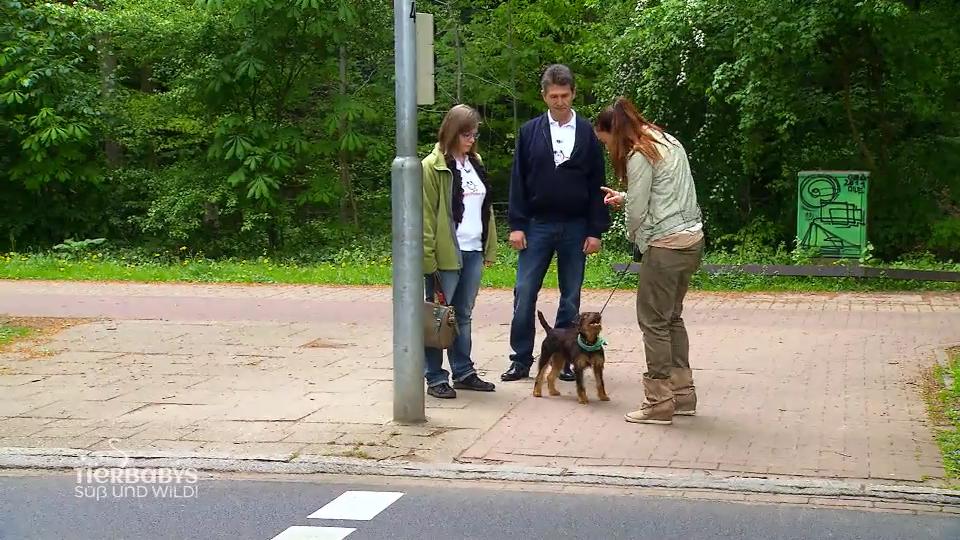 Fehlt Sinje die Verbindung zu ihrem Hund?