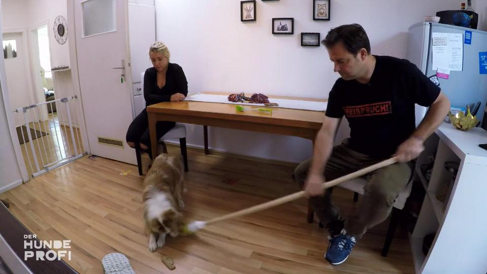 Wie reagiert Milow auf Martin Rütters Sticheleien?