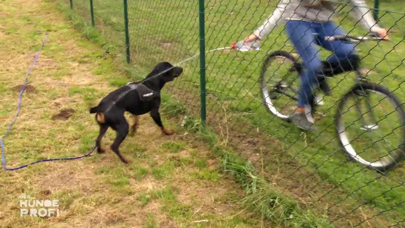 Für Sam gibt's jetzt kalte Duschen