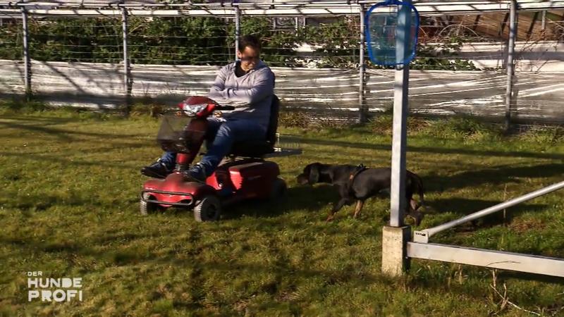 Sams Training wird heute auf die Probe gestellt