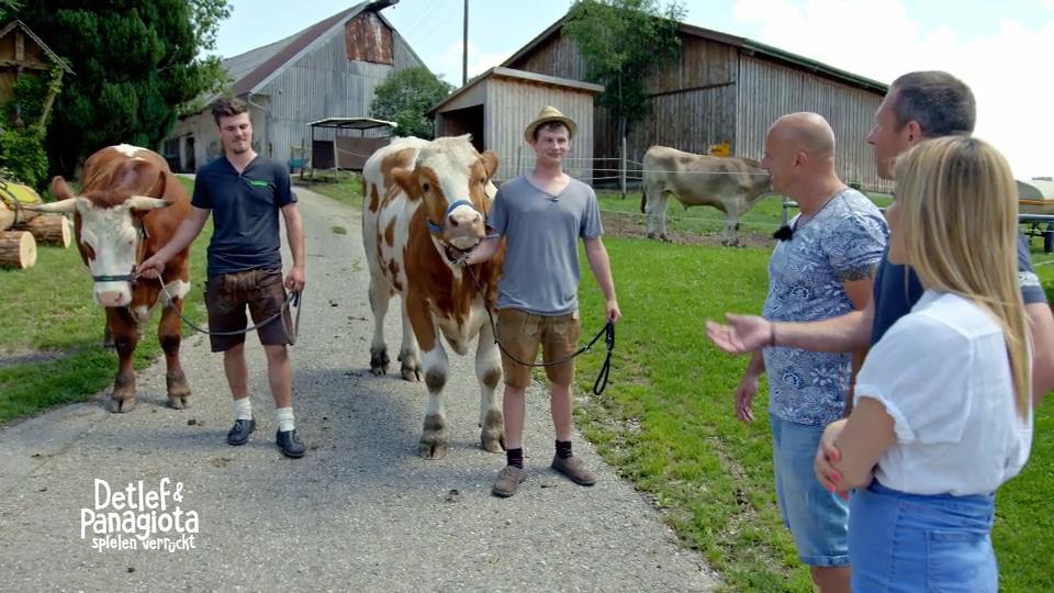 Detlef und Panagiota lernen ihre Reittiere kennen
