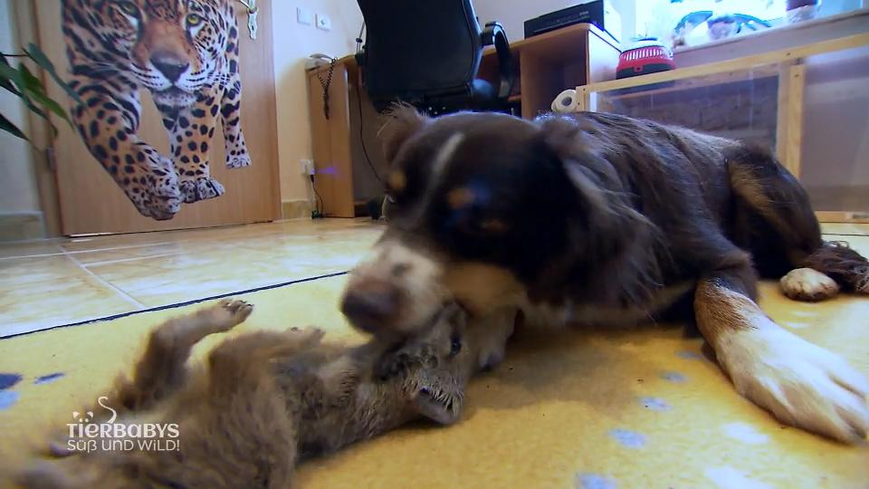 In dieser Freundschaft fliegen auch mal die Fetzen