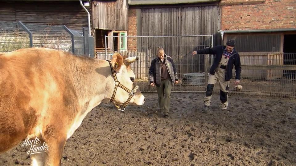 Die Leiterin wünscht sich einen neuen Boden
