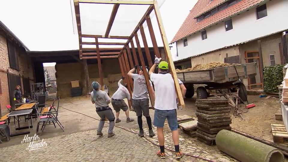 Die Harten Hunde stellen den Hof auf den Kopf