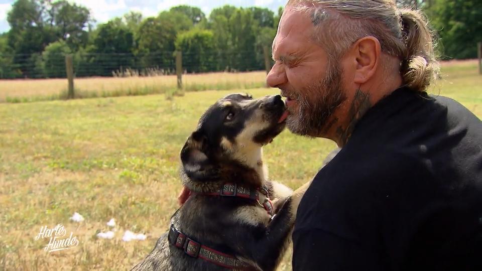 Große Projekte für über 90 Tiere