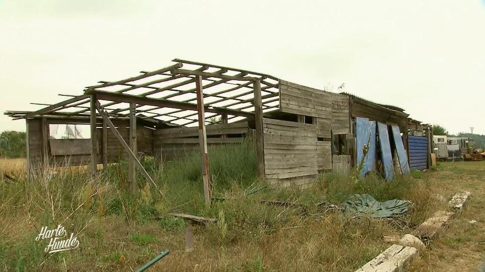 Die Stallruine soll in Schuss gebracht werden