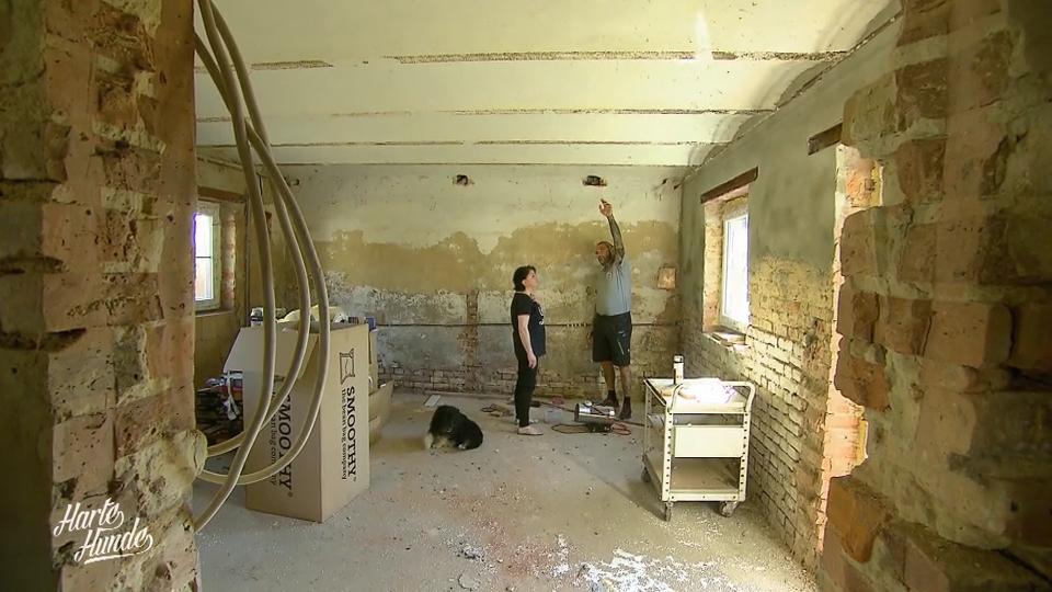 Hier soll ein neues Katzenhaus entstehen