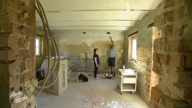 Hier soll ein neues Katzenhaus entstehen