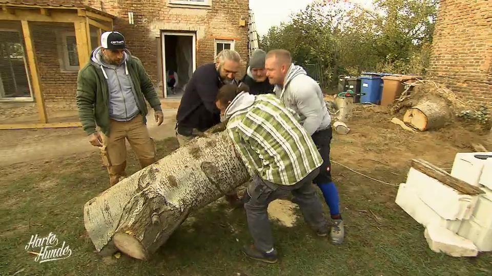 Ein Baum durchkreuzt die Pläne – und macht neue!