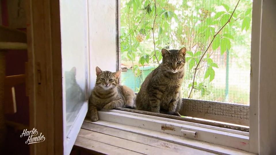 Tiergerechtere Gehege sollen geschaffen werden