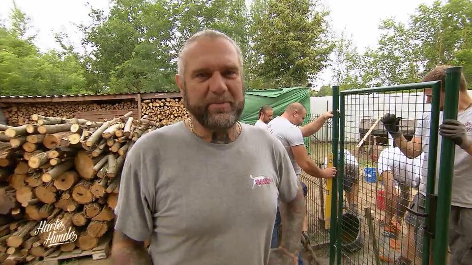 Wie geht es im Hundeauslauf voran?