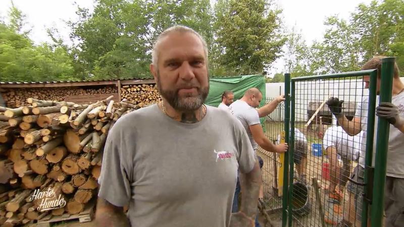 Wie geht es im Hundeauslauf voran?