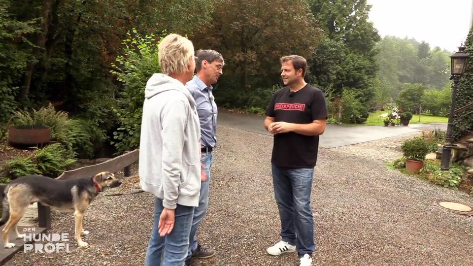 Gibt es Fortschritte bei Kalle und Hündin Sofie?
