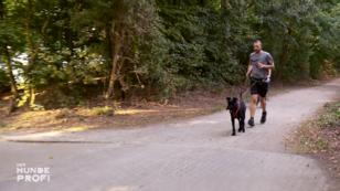 Hund Matty hat die Hosen an!