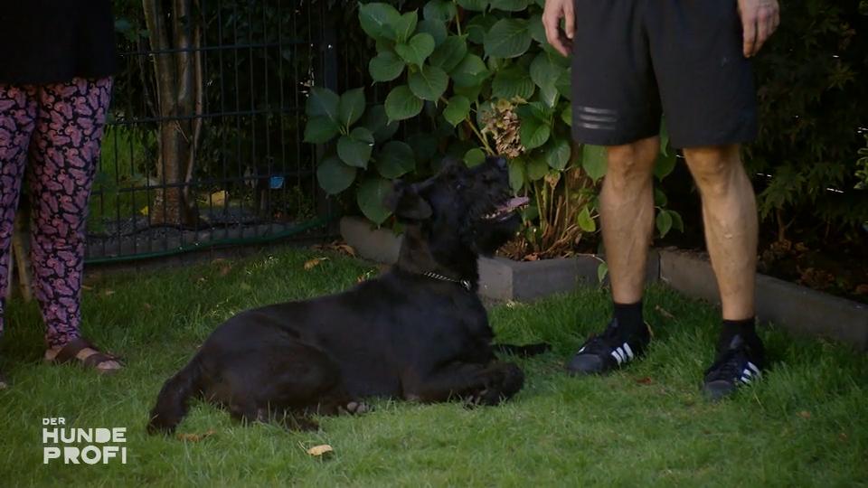 Matty kommt seinem Ziel immer näher