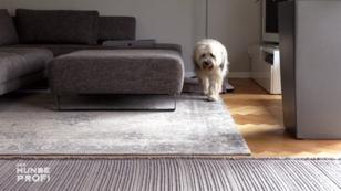 6 Monate Training und immer noch nicht am Ziel!