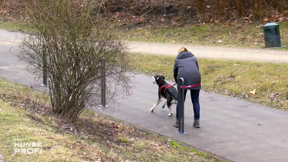Auf der Straße wird Molly zur Furie