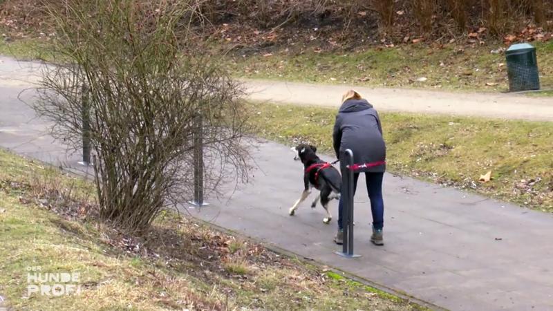 Auf der Straße wird Molly zur Furie