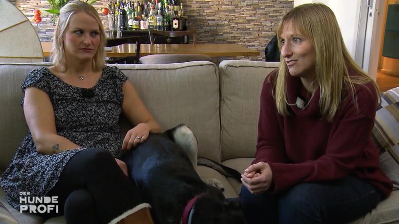 Molly hat schon eimal zugebissen
