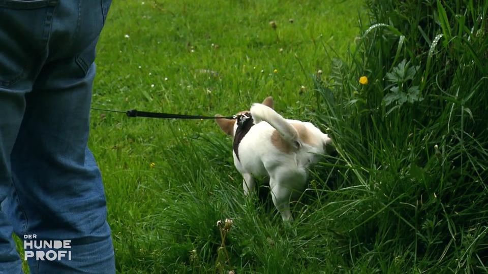 Leidet Bonnie an einer Verhaltensstörung?