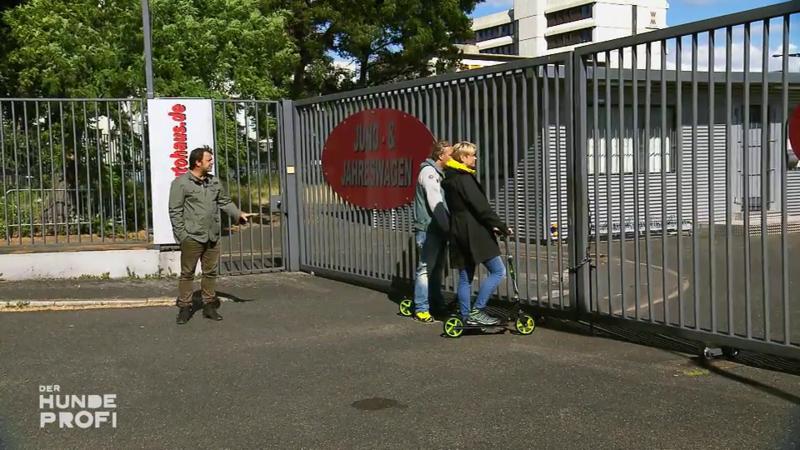 Molly wird mit Rollerfahrern konfrontiert