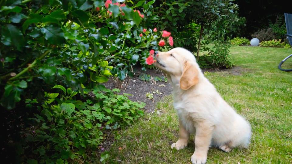 Sam zeigt jetzt schon seine Neugier