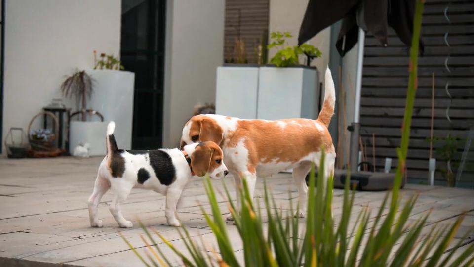 Kara und Lucy lernen sich kennen