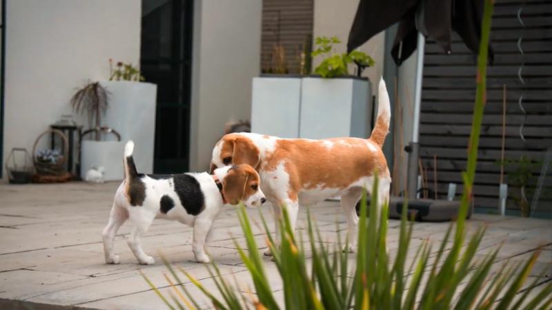 Kara und Lucy lernen sich kennen