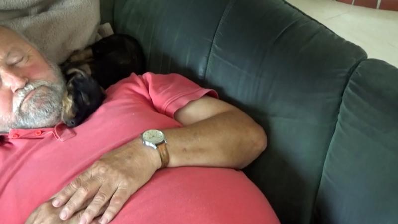 Jochen und Gertrud kuscheln jede freie Minute