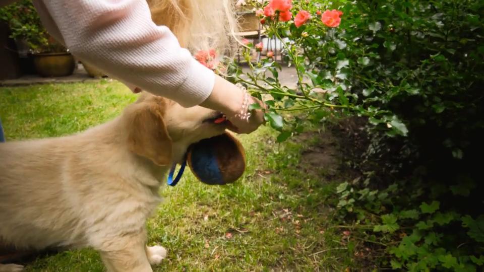 Ein "Nein" muss gelernt sein