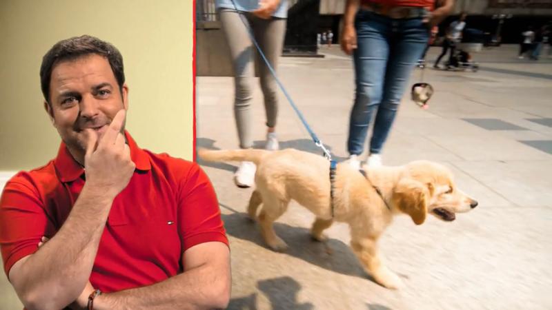 Sam führt seine Familie durch Köln spazieren