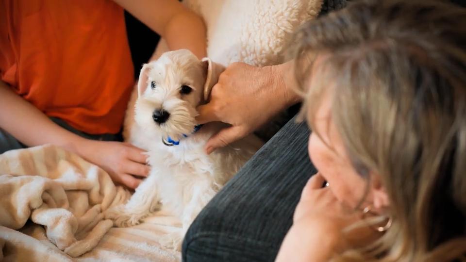 Alfie kommt in sein neues Zuhause