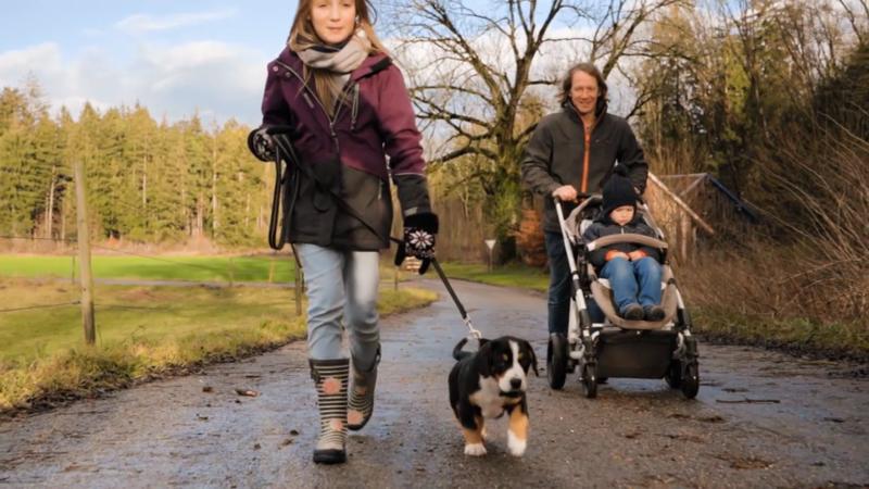 Die Kinder gehen mit Ebby Gassi