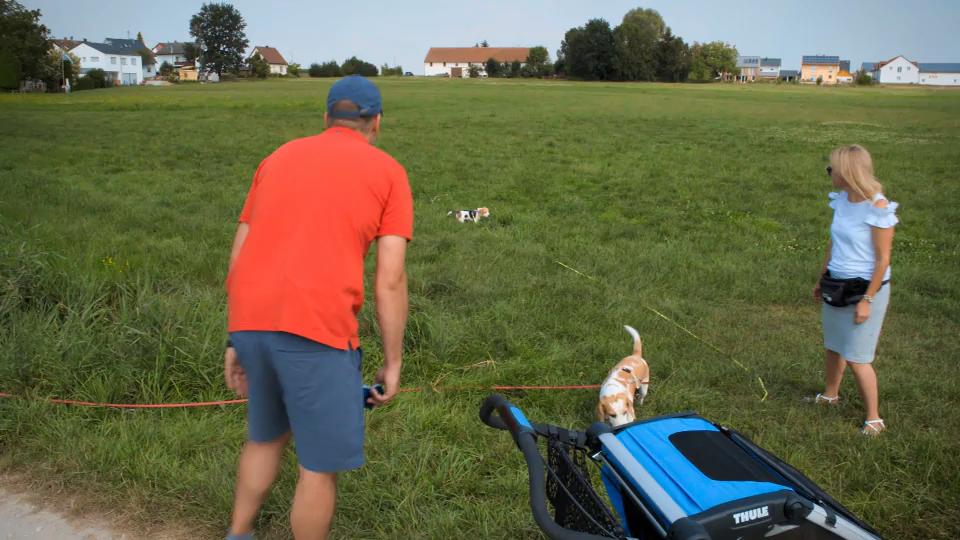 Kara lernt, auf Herrchen und Frauchen zu hören