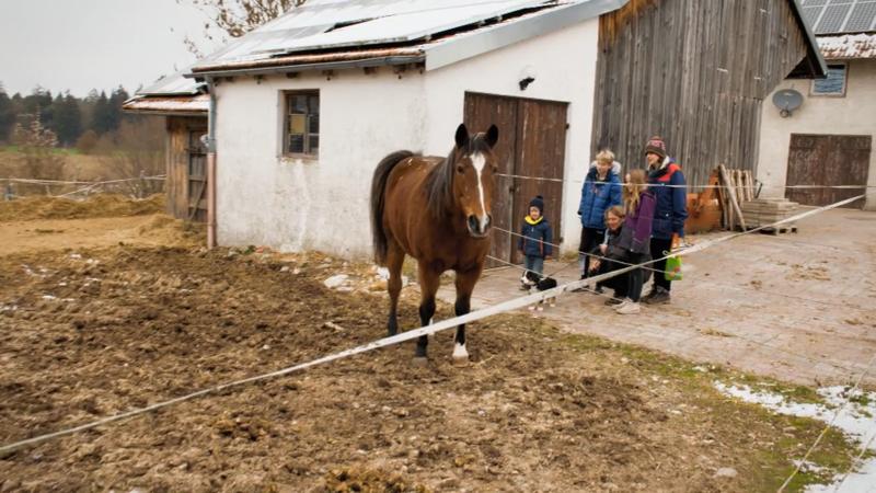 Ebby lernt die Nachbarschaft kennen