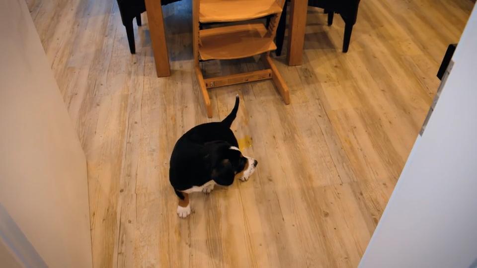 Ebby passiert ein Malheur