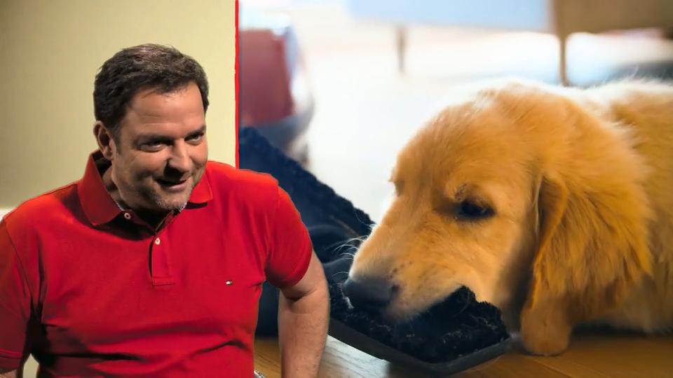 Familie Reul erzieht mit wenig Konsequenz