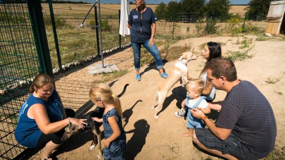 Familie Bohl steht der Hunde-Einzug noch bevor