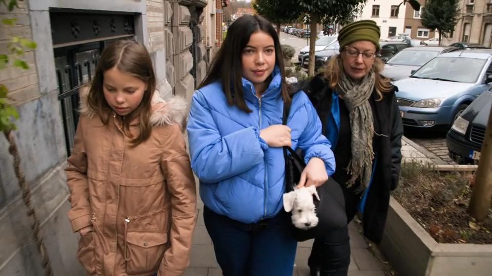 Alfi wird konsequent Gassi getragen