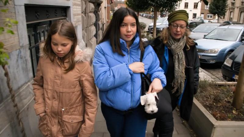 Alfi wird konsequent Gassi getragen