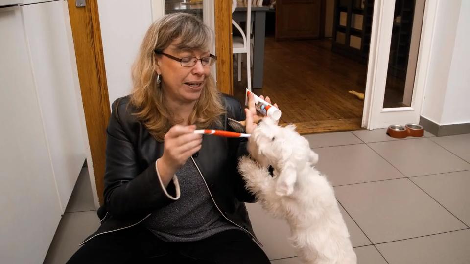 Grundreinigung nach dem Spaziergang