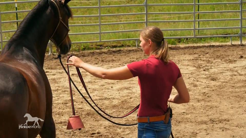 Extrem langsames kennenlernen