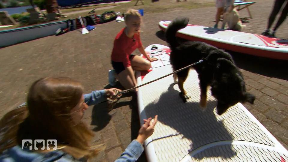 Stand Up Paddling Mit Hund