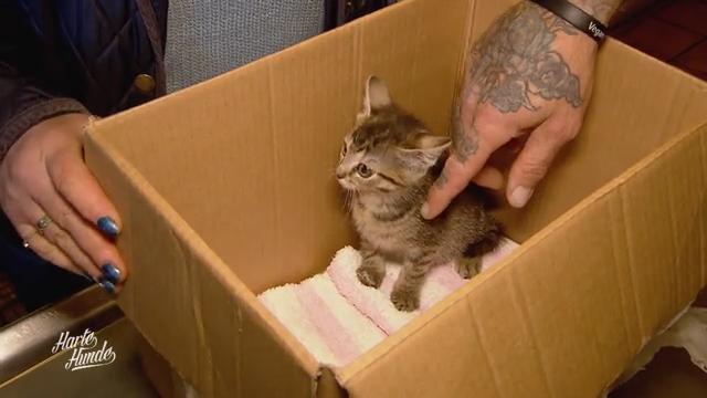 Christine hatte wieder ein "Geschenk" vor der Türe