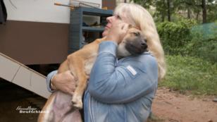 Bärbel und Günter unterstützen Tiere in Not