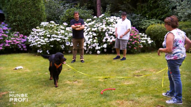Entscheidung: Taschentuch oder Spielzeug?