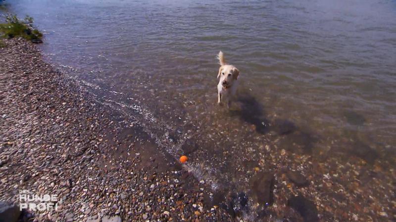 Einmal im Wasser kommt sie nicht mehr raus